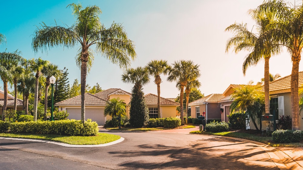 A residential street in Florida.